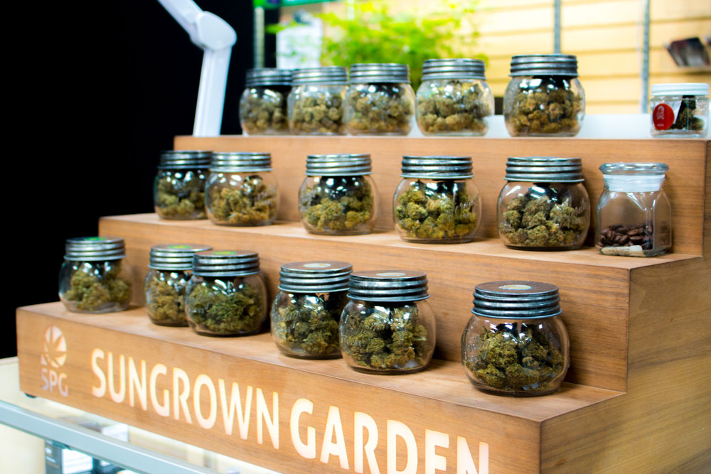 marijuana san diego