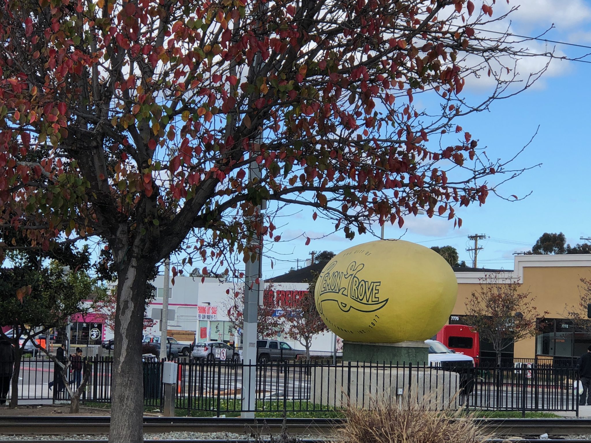 lemon grove lemon