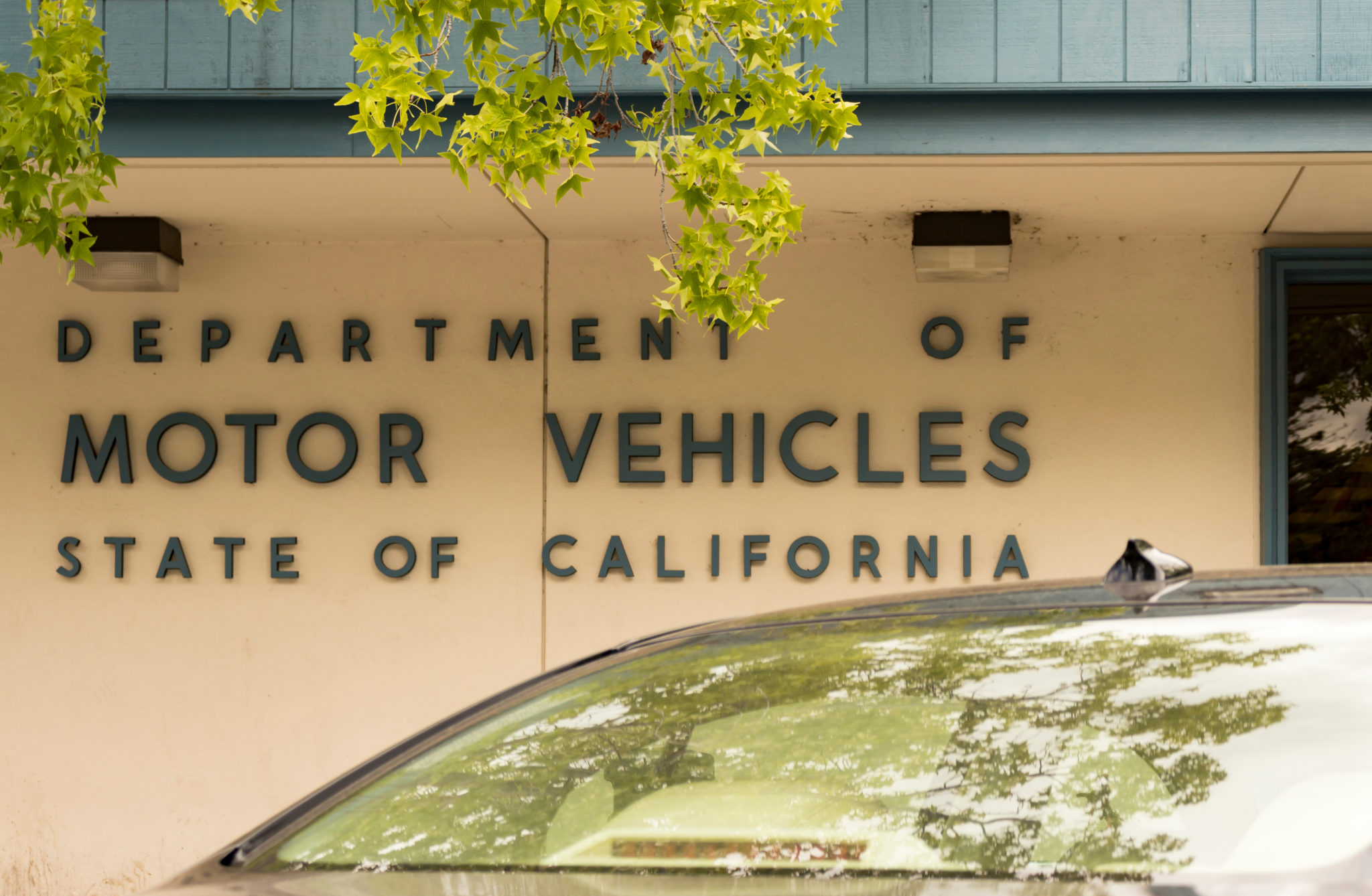 DMV