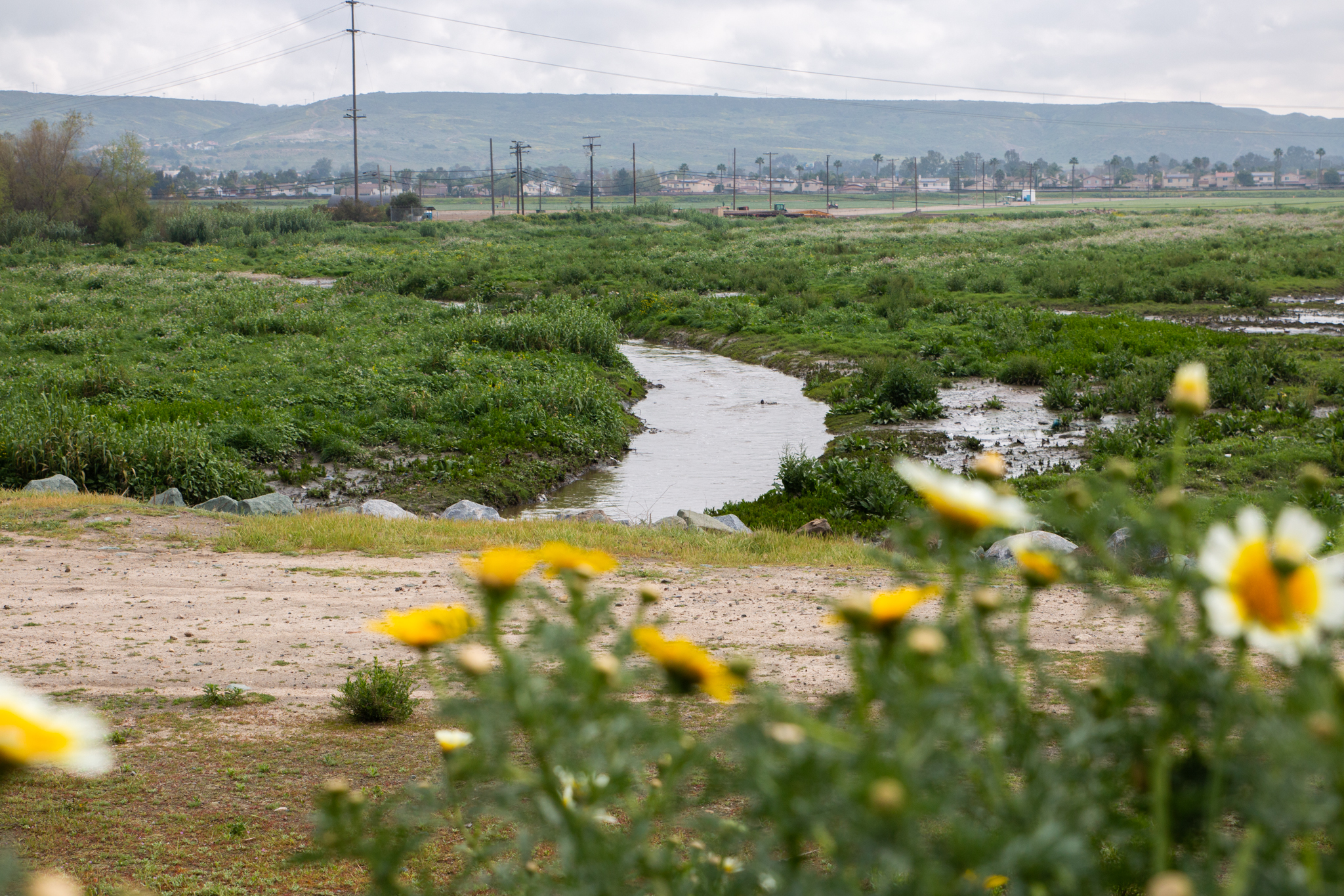 Tijuana River