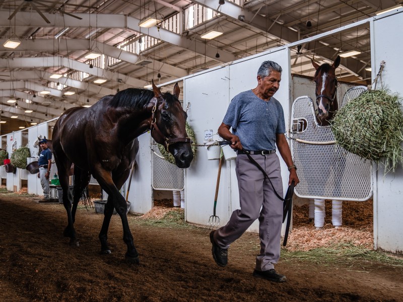A horse groomer walks a horse after putting water on it at the Del Mar Fairgrounds on July 29, 2022. / Photo by Ariana Drehsler