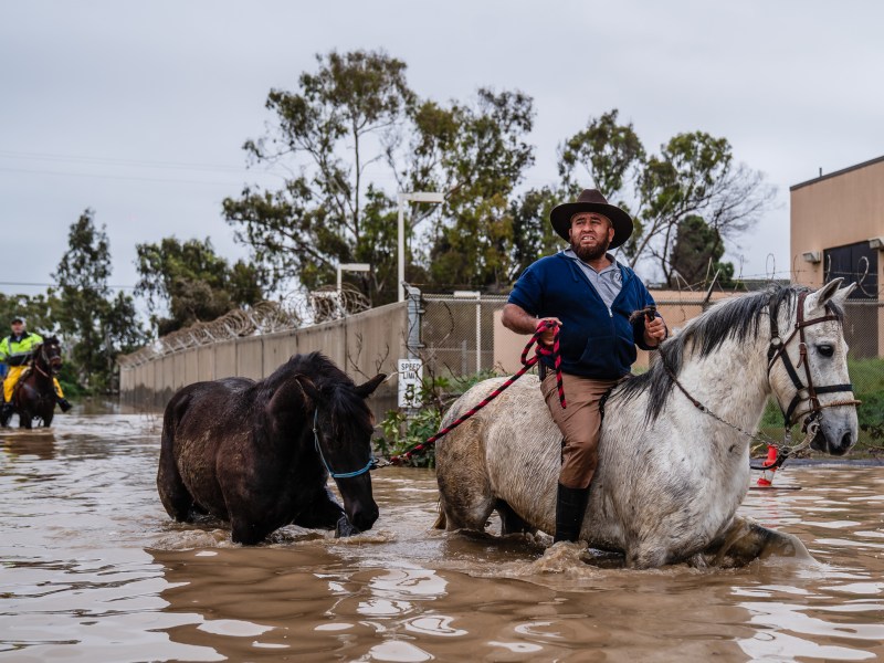A man moves a horse due to the water level being high in San Ysidro on Jan. 16, 2023.