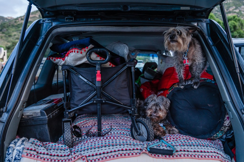 North and Rags can be seen next to a wagon that Tami Grobarek and William Pendarvis take to a nearby hillside to set up a tent for the night.